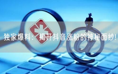 独家爆料：揭开抖音涨粉的神秘面纱!
