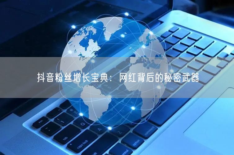抖音粉丝增长宝典：网红背后的秘密武器