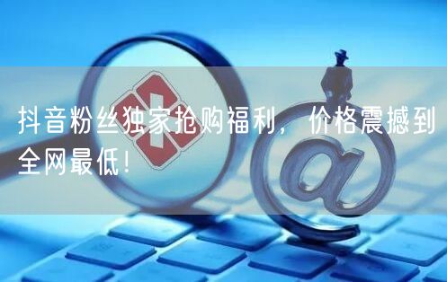 抖音粉丝独家抢购福利，价格震撼到全网最低！