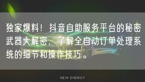 独家爆料！抖音自助服务平台的秘密武器大解密，了解全自动订单处理系统的细节和操作技