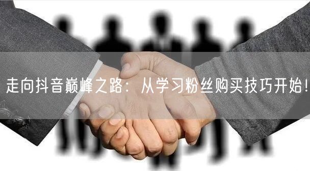 走向抖音巅峰之路：从学习粉丝购买技巧开始！
