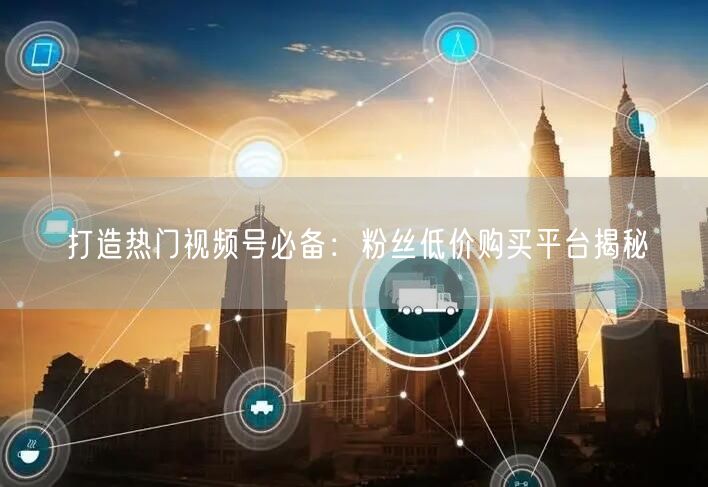 打造热门视频号必备：粉丝低价购买平台揭秘