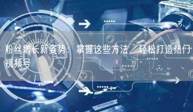 粉丝增长新姿势：掌握这些方法，轻松打造热门视频号
