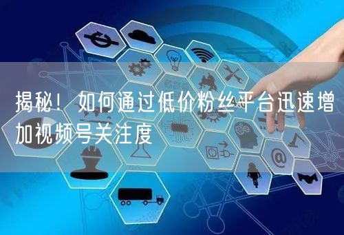 揭秘！如何通过低价粉丝平台迅速增加视频号关注度