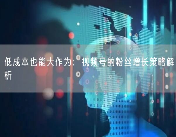 低成本也能大作为：视频号的粉丝增长策略解析