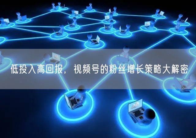 低投入高回报，视频号的粉丝增长策略大解密