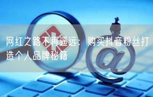 网红之路不再遥远：购买抖音粉丝打造个人品牌秘籍